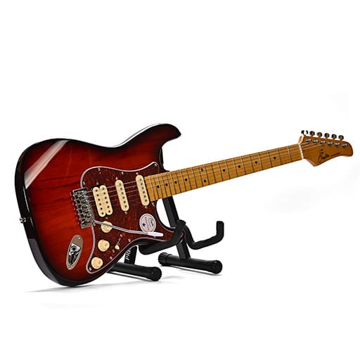 Elektro Gitar