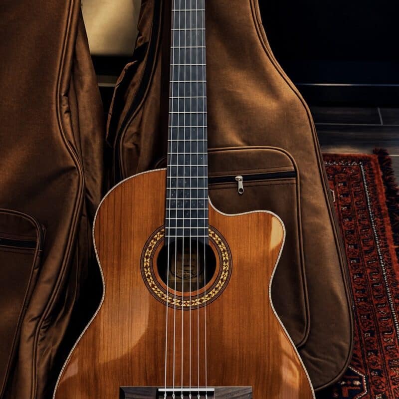 Clapton Fishman Elektro Klasik Gitar